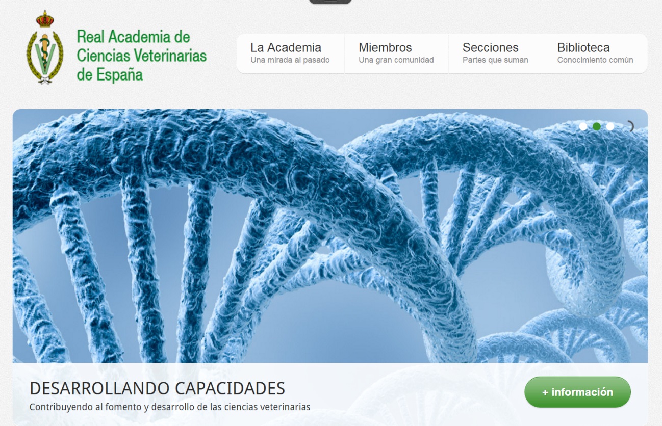 La pagina web de la Real Academia supera las 200.000 visitas